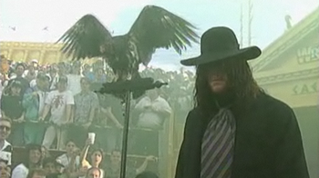 taker_vulture_display_image.png