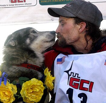 T1_iditarod_display_image