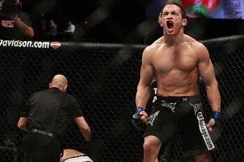Ellenberger_display_image