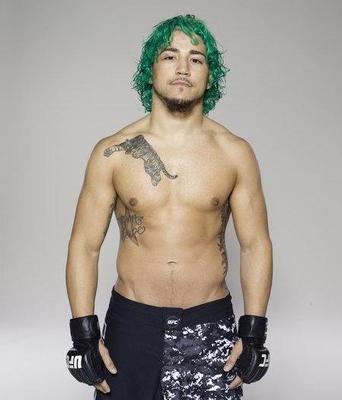 Louis-gaudinot-ultimate-fighter_display_image