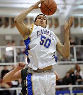 Hammons_display_image
