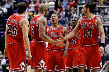 Dog-nba-1-blog480_display_image