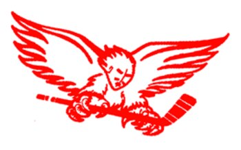 Carolinathunderbirds_display_image