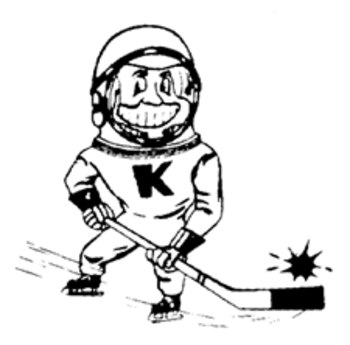 Fortwaynekomets_display_image