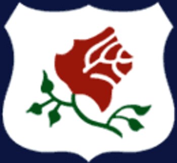 Portlandrosebuds2526_display_image