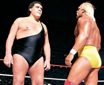 Andre Vs Hogan