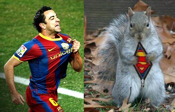 Comparing Football's Best Players to Animals