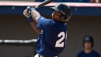 Courtesy of MiLB.com