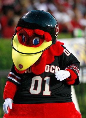 The Best Mascots In College Sports 