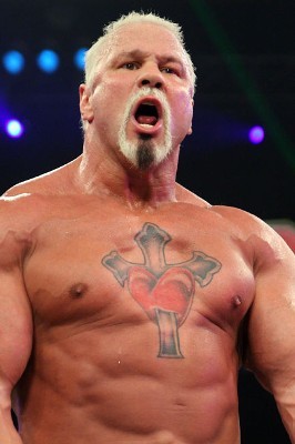 scott-steiner_display_image.jpg