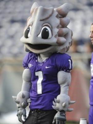 Tcu Mascot Pics
