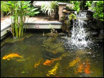 Image courtesy of exteriorconceptsonline.com [This is a sample pond. Not Vick's actual pond.]