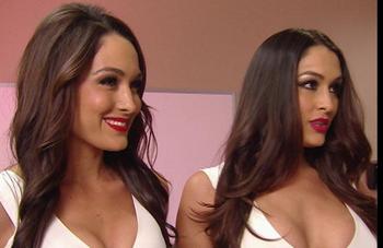 Why Bella Twins Fired From Wwe