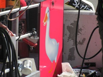 Display_image