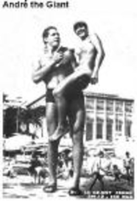 Display_image