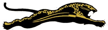 Display_image