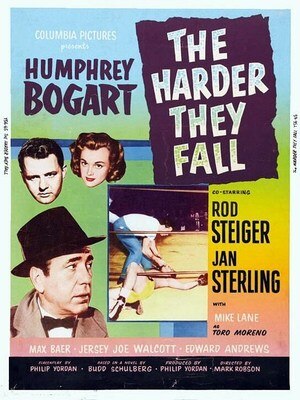 Display_image