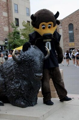 BOULDER, CO - OCTOBER 04:  'Chip' the Colorado Buffaloes mascot checks in with the Buffaloe statue as he enter the stadium prior to facing he Texas Longhorns at Folsom Field on October 4, 2008 in Boulder, Colorado. Texas defeated Colorado 38-14.  (Photo b