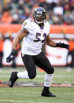 CINCINNATI - NOVEMBER 30: Ray Lewis #52 of the Baltimore Ravens looks to make a defensive play during their NFL game against the Cincinnati Bengals on November 30, 2008 at Paul Brown Stadium in Cincinnati, Ohio. The Ravens defeated the Bengals 34-3.(Phot