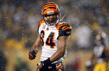 PITTSBURGH - NOVEMBER 20: T.J. Houshmandzadeh #84 of the Cincinnati Bengals reacts after a play in which he thought he was interfered with during NFL action against the Pittsburgh Steelers on November 20, 2008 at Heinz Field in Pittsburgh, Pennsylvania.