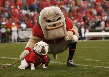 ATHENS, GA - NOVEMBER 29: Georgia Bulldogs mascots Hairy Dawg (R) and UGA VII pose together for photos before the game against the Georgia Tech Yellow Jackets at Sanford Stadium on November 29, 2008 in Athens, Georgia. The Yellow Jackets defeated the Bu