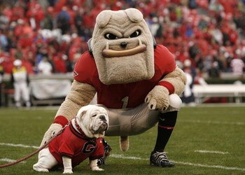 ATHENS, GA - NOVEMBER 29:  Georgia Bulldogs mascots Hairy Dawg (R) and UGA VII pose together for photos before the game against the Georgia Tech Yellow Jackets at Sanford Stadium on November 29, 2008 in Athens, Georgia.  The Yellow Jackets defeated the Bu
