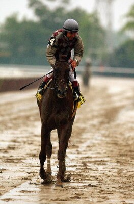 ELMONT, NY - JUNE 7:  Jose Santos rides Funny Cide back to the finish line during the 135th Belmont Stakes at Belmont Park on June 7, 2003 in Elmont, New York.  (Photo by Matthew Stockman/Getty Images)