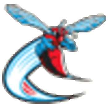 Display_image