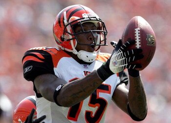 CINCINNATI - SEPTEMBER 17:  Chris Henry #15 of the Cincinnati Bengals catches a pass against the Cleveland Browns on September 17, 2006 at Paul Brown Stadium in Cincinnati, Ohio.  (Photo by Andy Lyons/Getty Images)