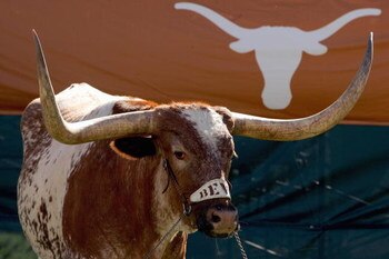 AUSTIN, TX - NOVEMBER 8: Bevo, the Texas Longhorns' mascot, stands in the corner during a game against the Baylor Bears on November 8, 2008 at Darrell K Royal-Texas Memorial Stadium in Austin, Texas. Texas won 45-21. (Photo by Brian Bahr/Getty Images)
