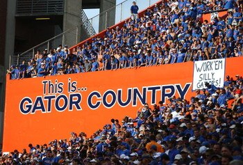 GAINESVILLE, FL - SEPTEMBER 15:  Gator fans cheer as the Tennessee Volunteers take on the Florida Gators at Ben Hill Griffin Stadium on September 15, 2007 in Gainesville, Florida. Florida defeated Tennessee 59-20.  (Photo by Doug Benc/Getty Images)