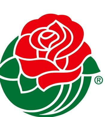 Display_image