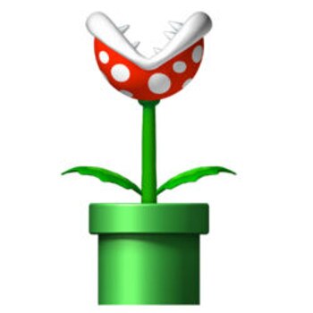 Display_image