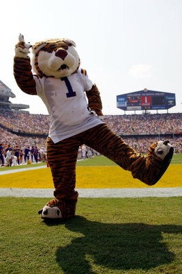 BATON ROUGE, LA - AUGUST 30:  Mascot Mike the Tiger of the Louisiana State University Tigers celebrates on the field against the Appalachian State Mountaineers on August 30, 2008 at Tiger Stadium in Baton Rouge, Louisiana.  (Photo by Chris Graythen/Getty 