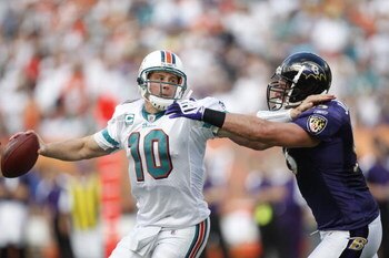 MIAMI - JANUARY 4:  Chad Pennington #10 of the Miami Dolphins scrambles against Jarret Johnson #95 of the Baltimore Ravens during a AFC Wild Card playoff game on January 4, 2009 at Dolphin Stadium in Miami, Florida. (Photo by Gregory Shamus/Getty Images)