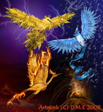 Display_image