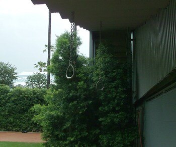 Display_image