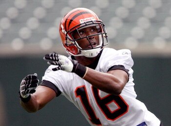 CINCINNATI, OH - MAY 1:  Rookie wide receiver Greg Orton #16 of the Cincinnati Bengals waits on a pass during rookie minicamp at Paul Brown Stadium on May 1, 2009 in Cincinnati, Ohio.  (Photo by Mark Lyons/Getty Images)