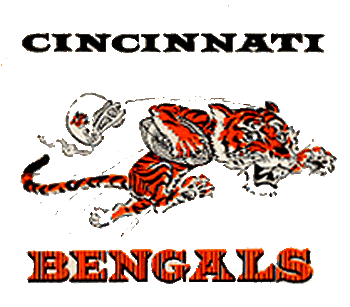 Display_image