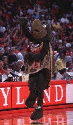 6 Jan 2001:  The University of Maryland mascot entertains the crowd during the game against Georgia Tech at Cole Field House in College Park, Maryland. Mandatory Credit: Doug Pensinger/ALLSPORT