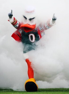 MIAMI - OCTOBER 25:  Sebastian the Ibis leads the Miami Hurricanes onto the field to take on the Wake Forest Demon Decons at Dolphin Stadium on October 25, 2008 in Miami, Florida. Miami defeated Wake Forest 16-10. (Photo by Doug Benc/Getty Images)