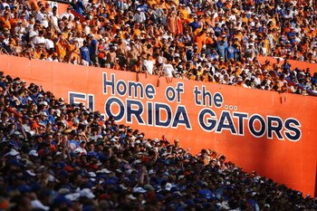 GAINESVILLE, FL - SEPTEMBER 15:  Gator fans cheer as the Tennessee Volunteers take on the Florida Gators at Ben Hill Griffin Stadium on September 15, 2007 in Gainesville, Florida. Florida defeated Tennessee 59-20.  (Photo by Doug Benc/Getty Images)