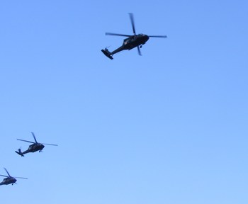 Display_image