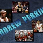 Andrew Perkins
