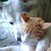 Guen-n-sammy_crop_51x51