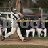Nate Grisham