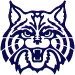 ASM WILDCAT
