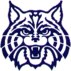 ASM WILDCAT