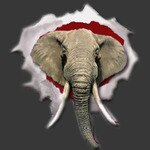 CrimsonTusks.com