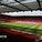 Yusuf Patel
